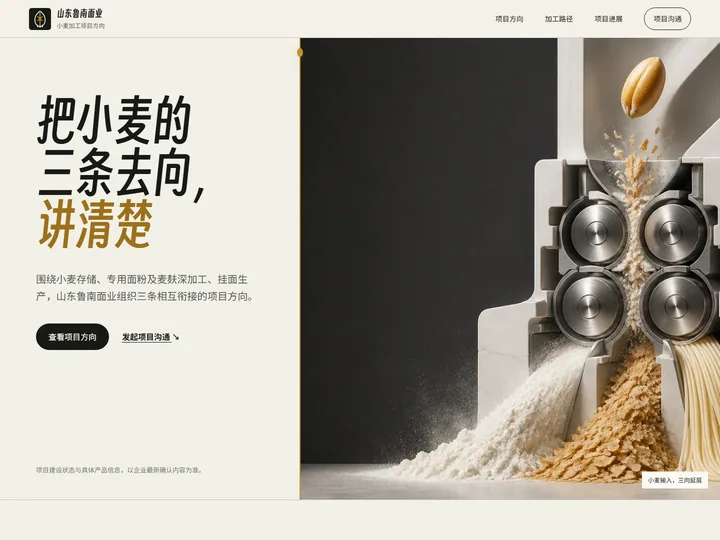 山东鲁南面业有限公司网站首页缩略图
