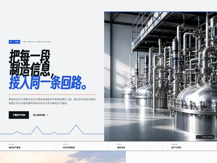 潍坊先达化工有限公司网站首页缩略图