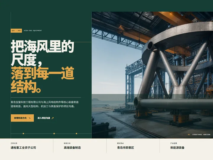 青岛宝鉴科技工程有限公司网站首页缩略图